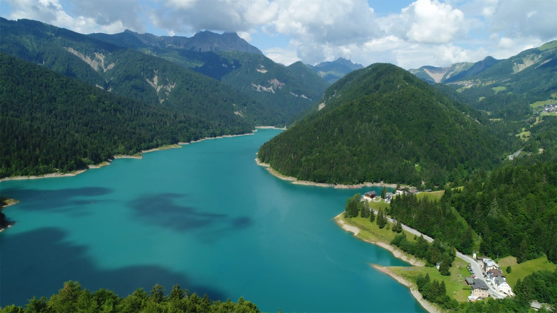 Sauris